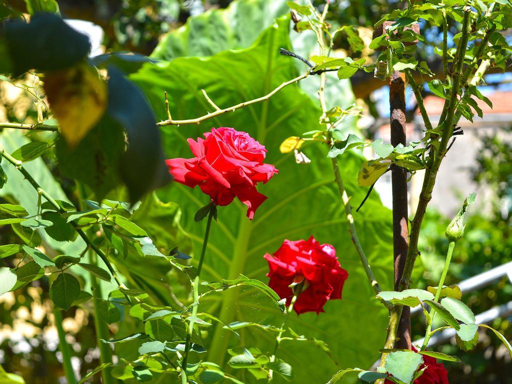 The Secret Garden Relais Hotel Piano di Sorrento Bagian luar foto